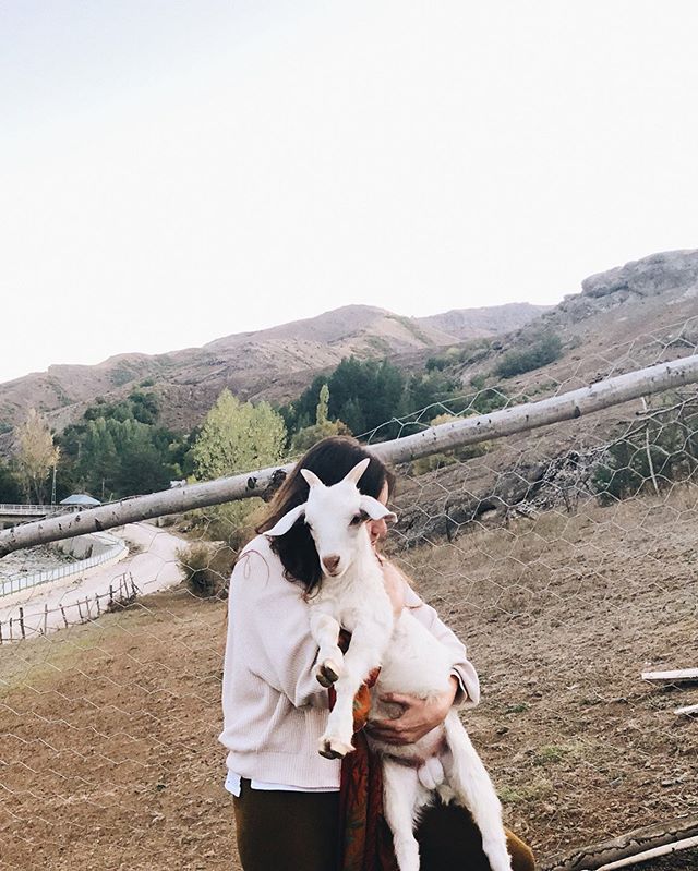 Freelance Çoban: Gökçe Ece Toptaş 5 svg%3E